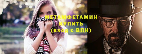 прущие грибы Сатка