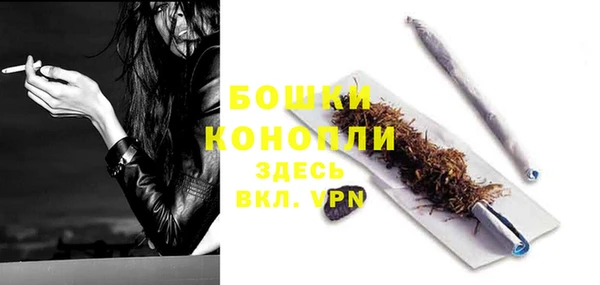 PSILOCYBIN Балабаново