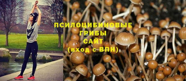 PSILOCYBIN Балабаново