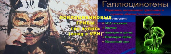 PSILOCYBIN Балабаново