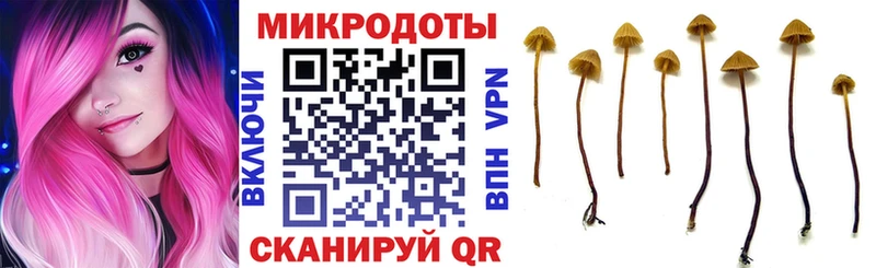что такое наркотик  Гвардейск  Галлюциногенные грибы мицелий 
